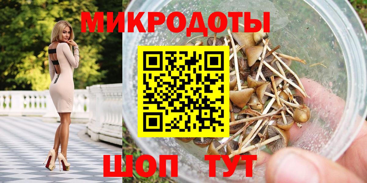 что такое   Псилоцибиновые грибы Psilocybine cubensis  Вход с VPN  Новошахтинск 