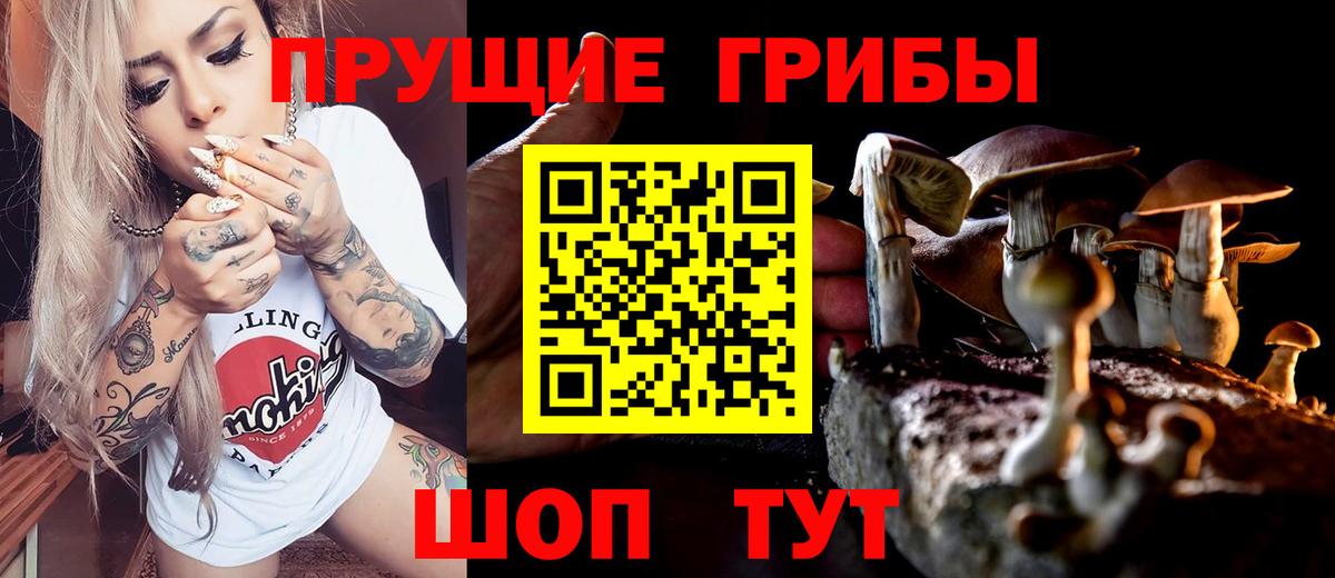 Псилоцибиновые грибы Magic Shrooms Новошахтинск
