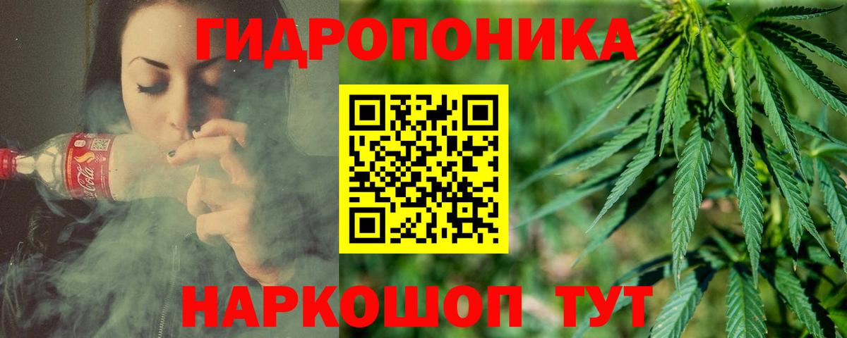 Марихуана сатива  Конопля гибрид  Каннабис White Widow  Вход с VPN  Новошахтинск 